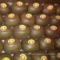 Export Fresh Delicious Kiwi Fruits (25, 27, 30, 33, 36, 39)